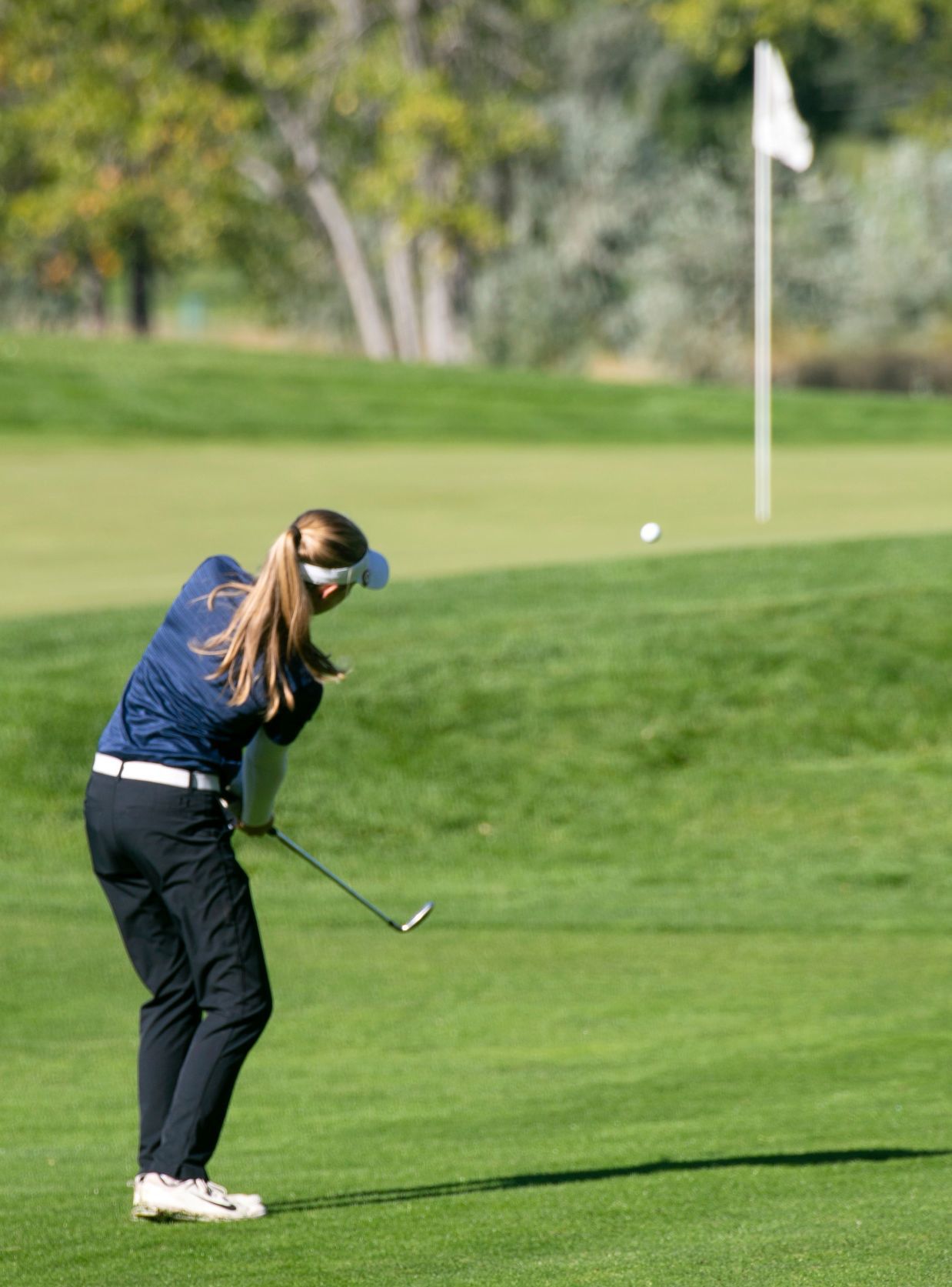 High School State Golf